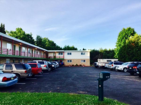 Гостиница Cedars Motel  Айронвуд